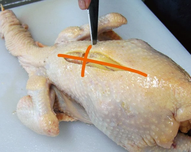 Jidori Onza