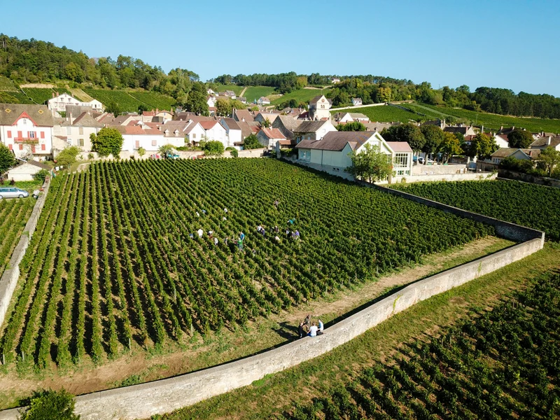 Domaine Michel Lafarge
