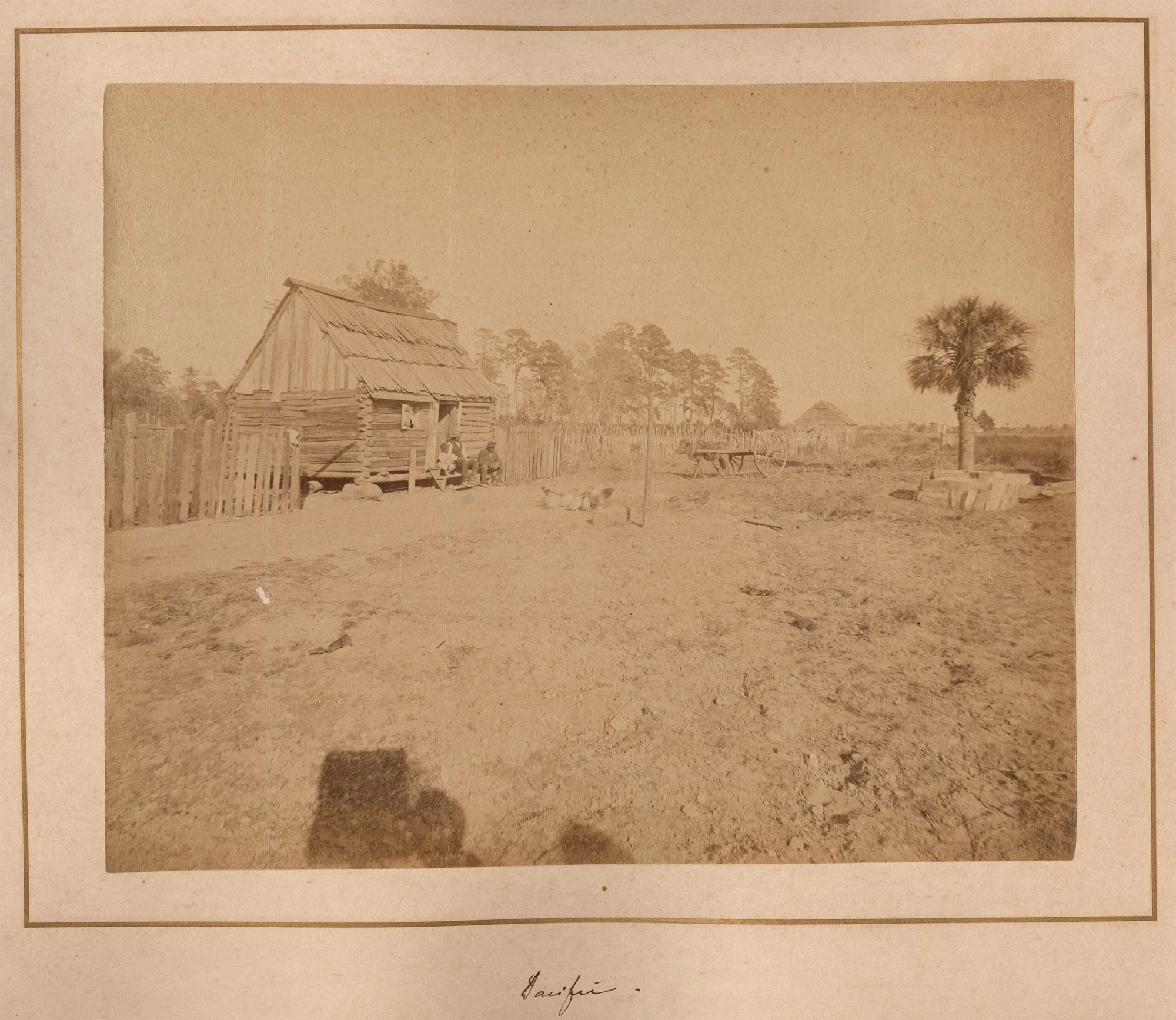 STEREOGRAPH