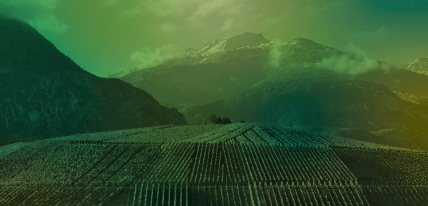 Artisan Vigneron