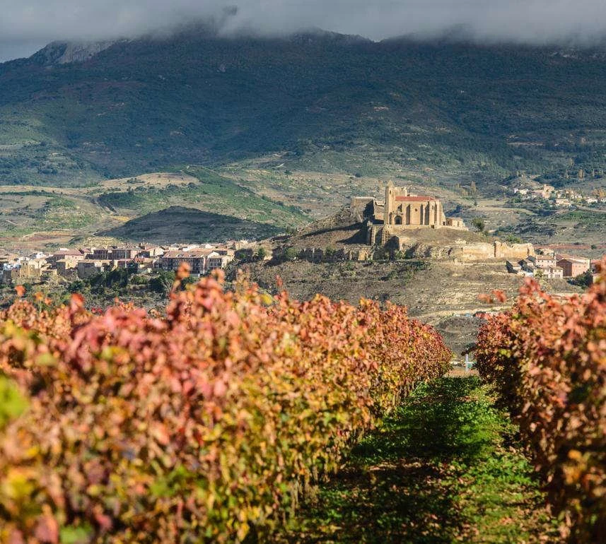 Bodegas Age