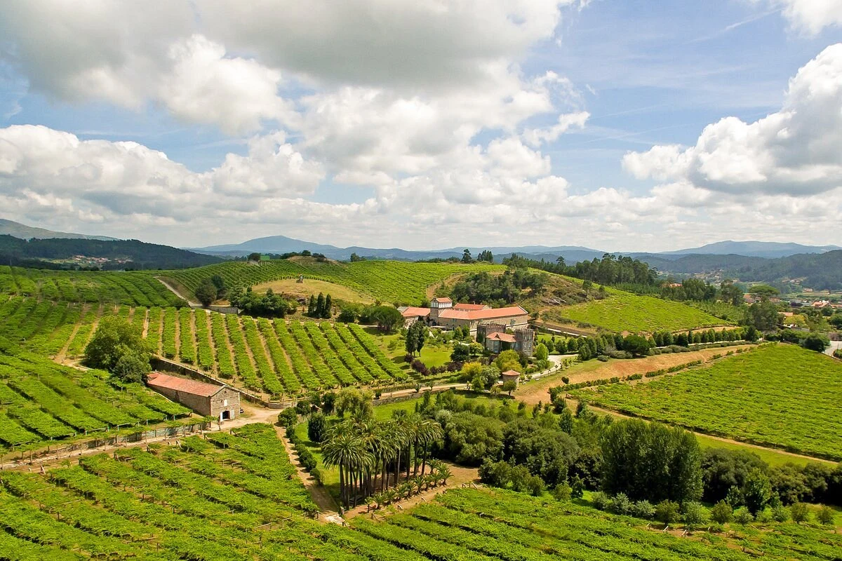 Bodega Benito Santos