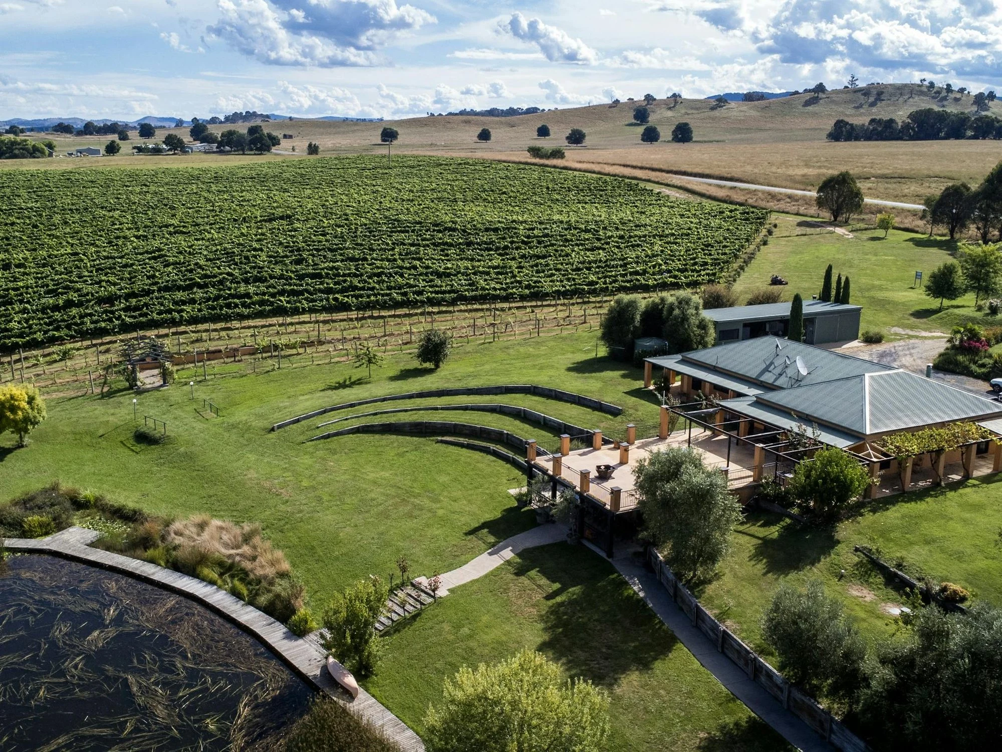 Allegiance Wines