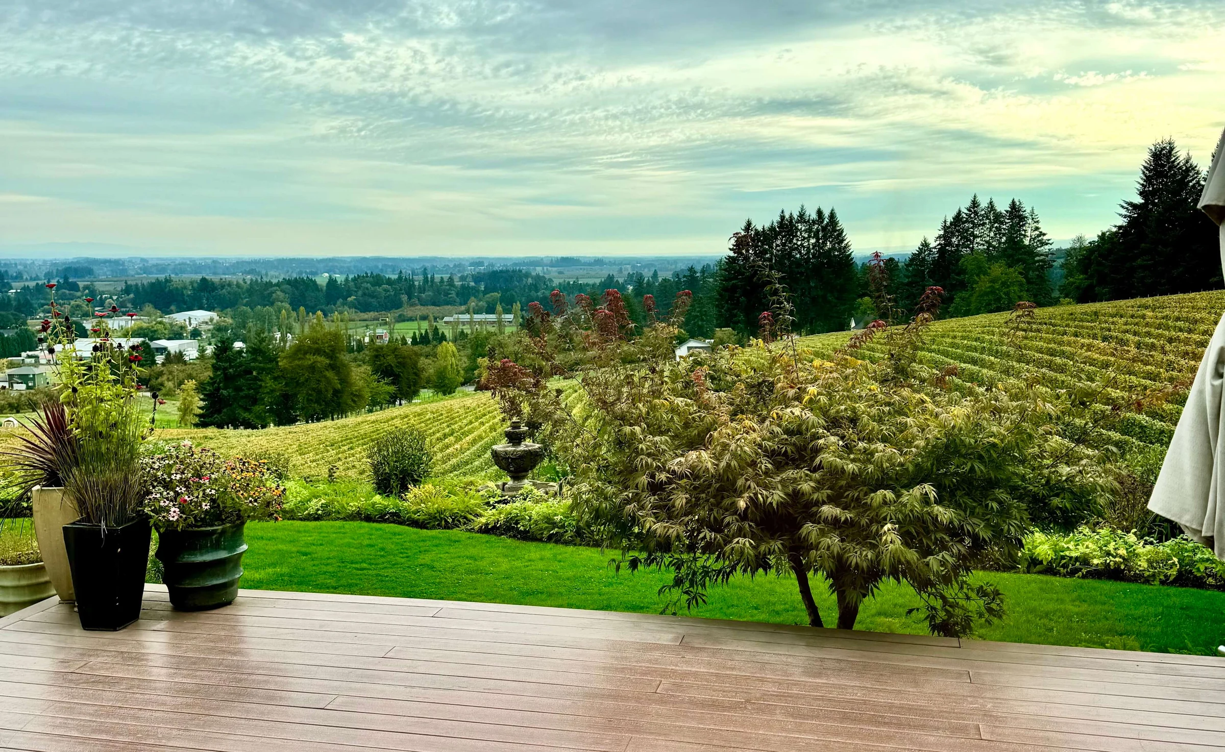 Bergstrom Wines