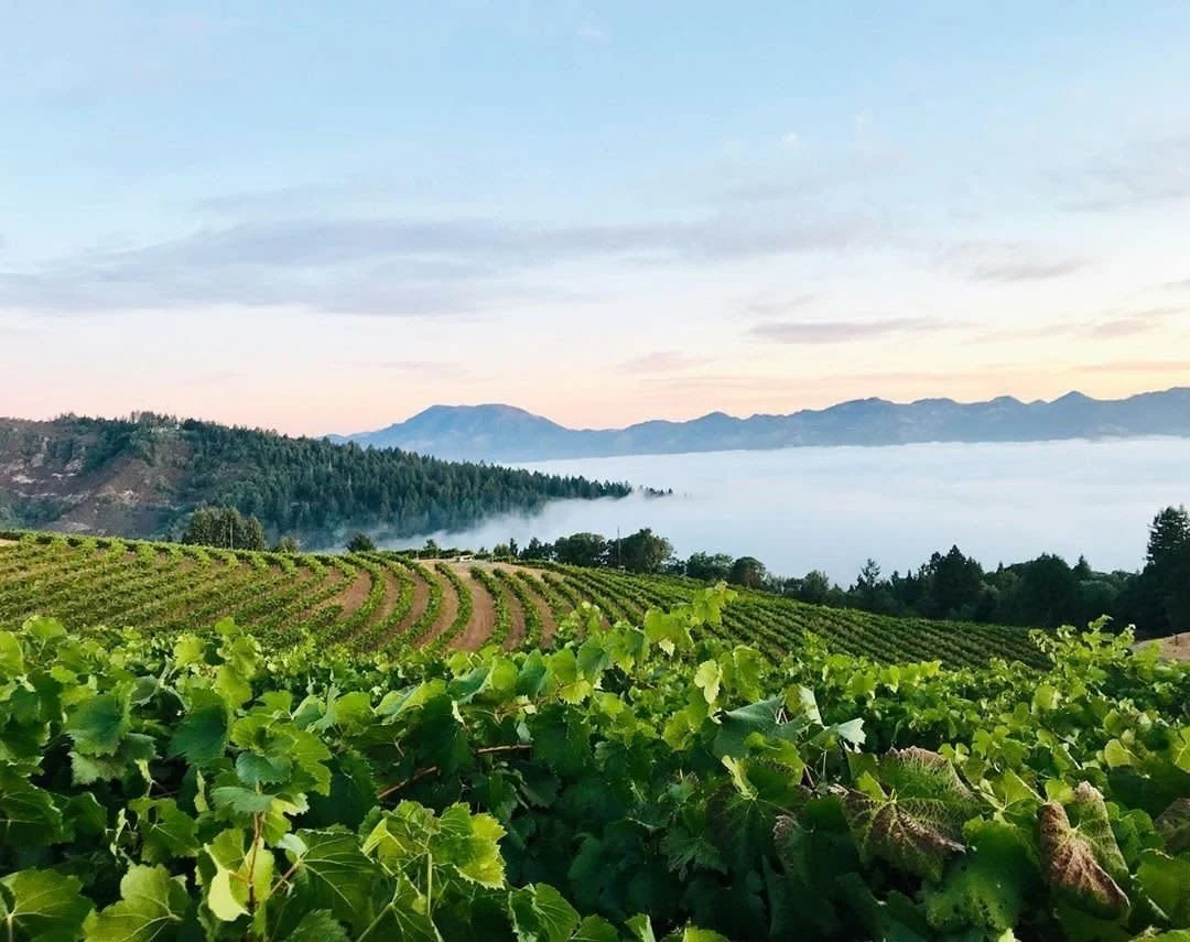Smith-Madrone Vineyards & Winery