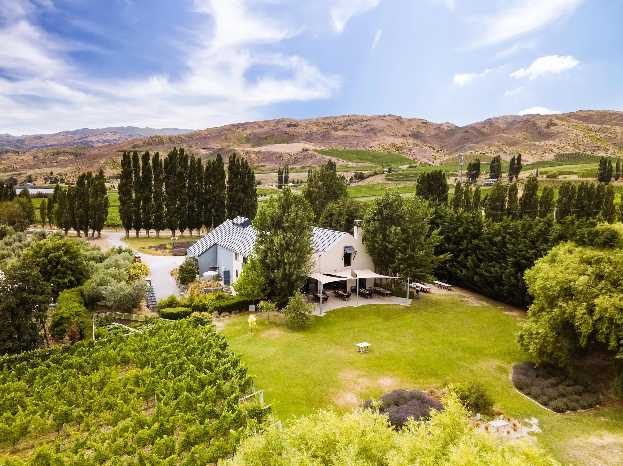 Carrick Wines
