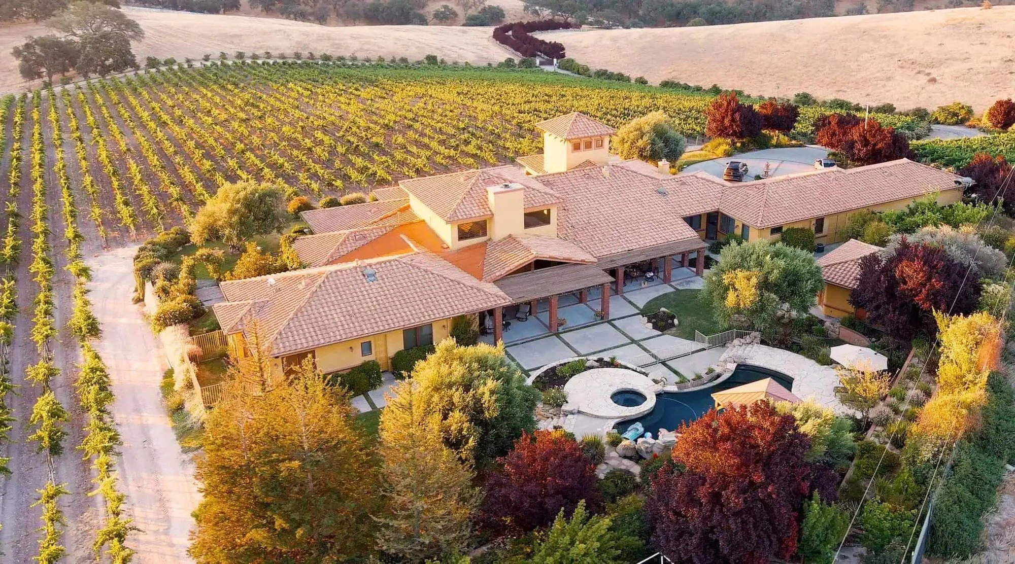 Asuncion Ridge Vineyards