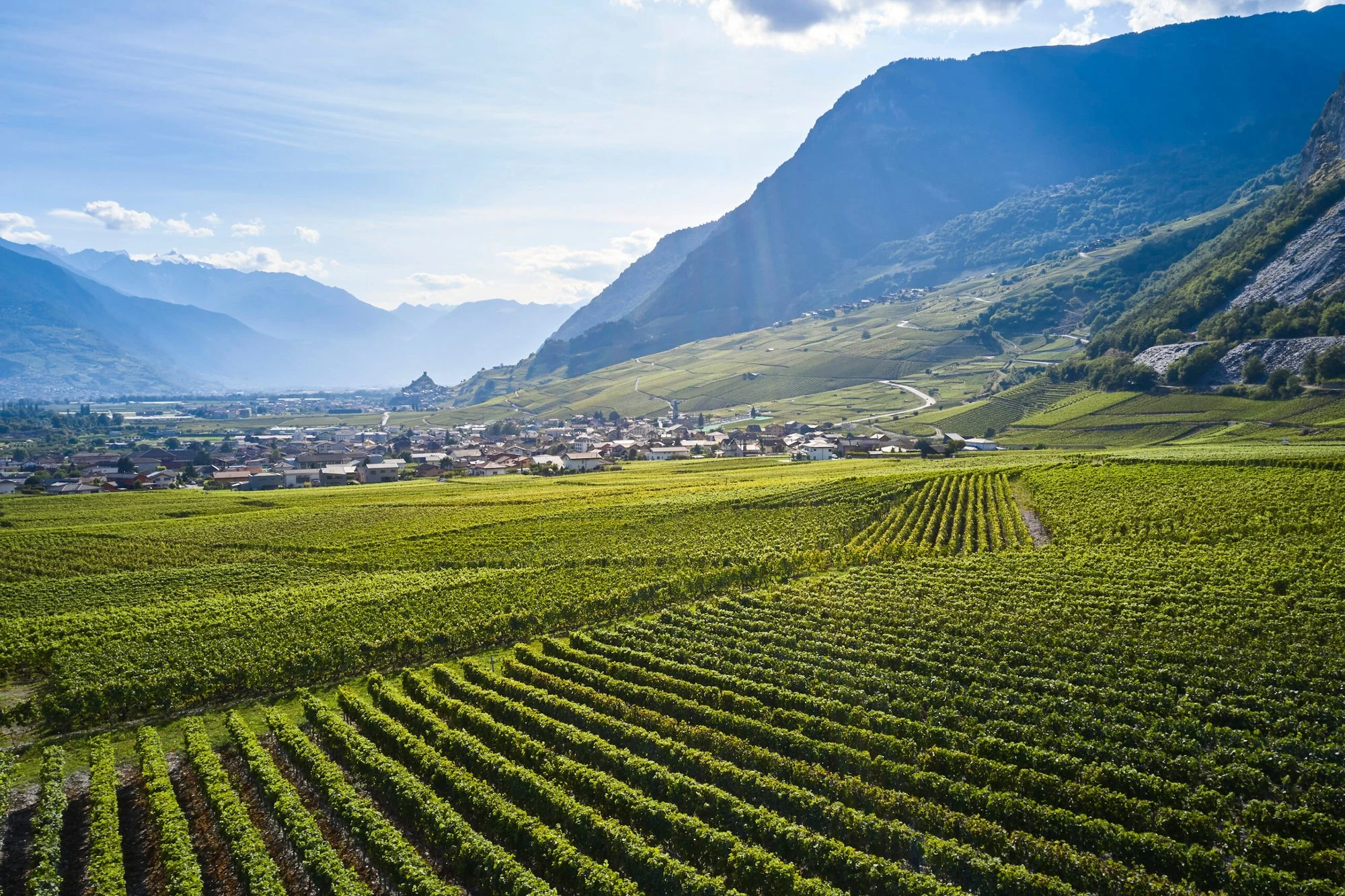 Caves Défayes & Crettenand