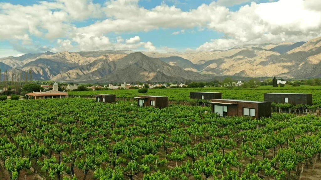 El Porvenir de Cafayate