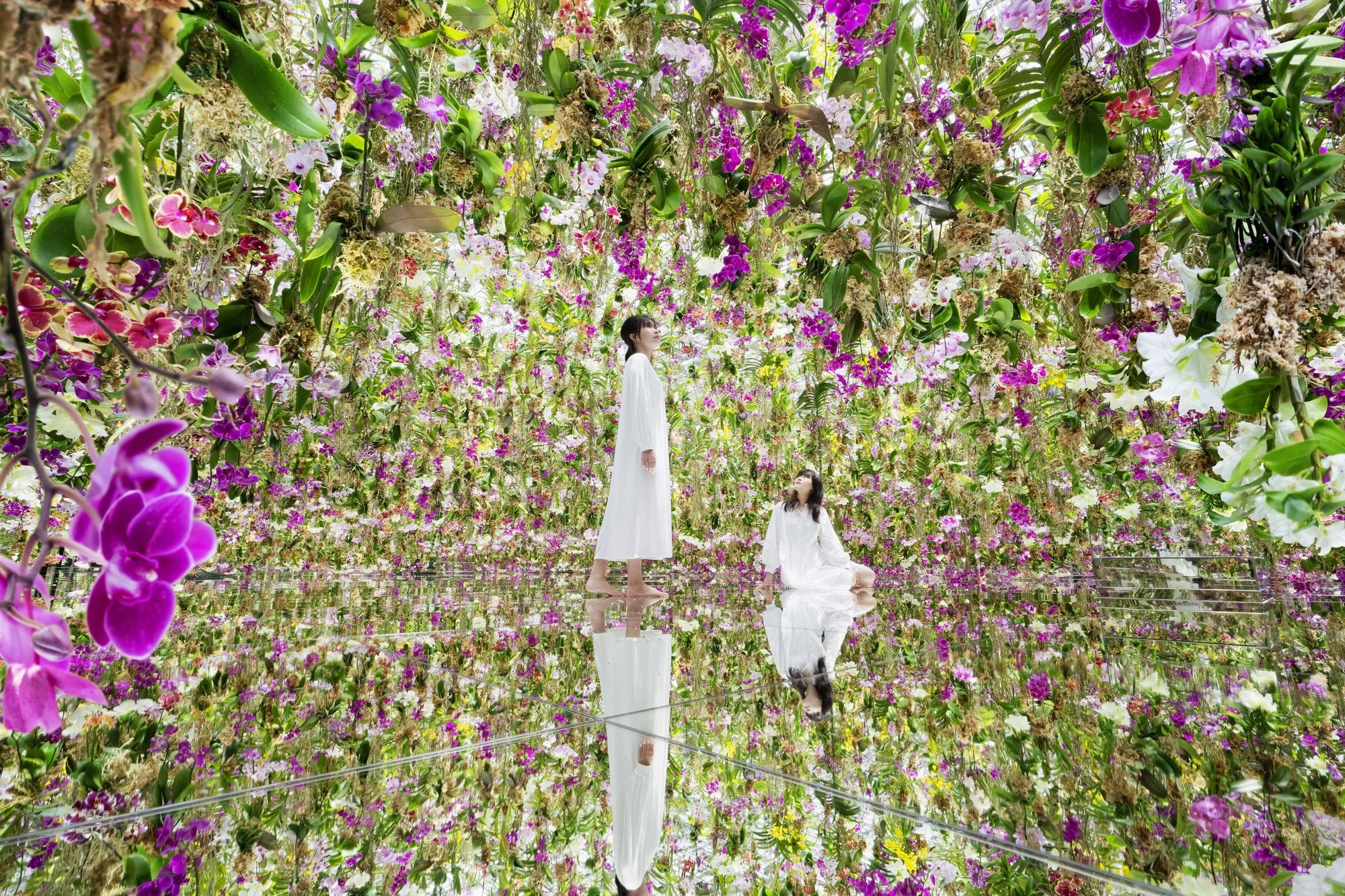 TeamLab Planets TOKYO DMM.com