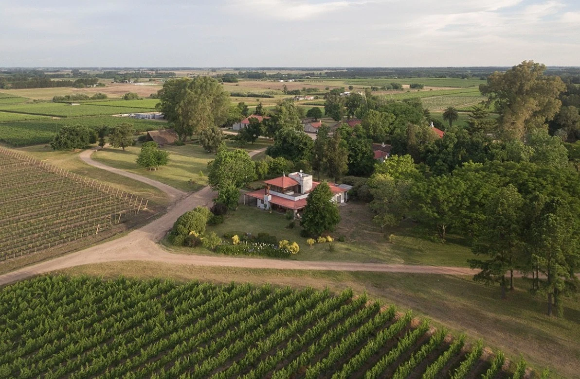 Bodega Juanicó (Familia Deicas)