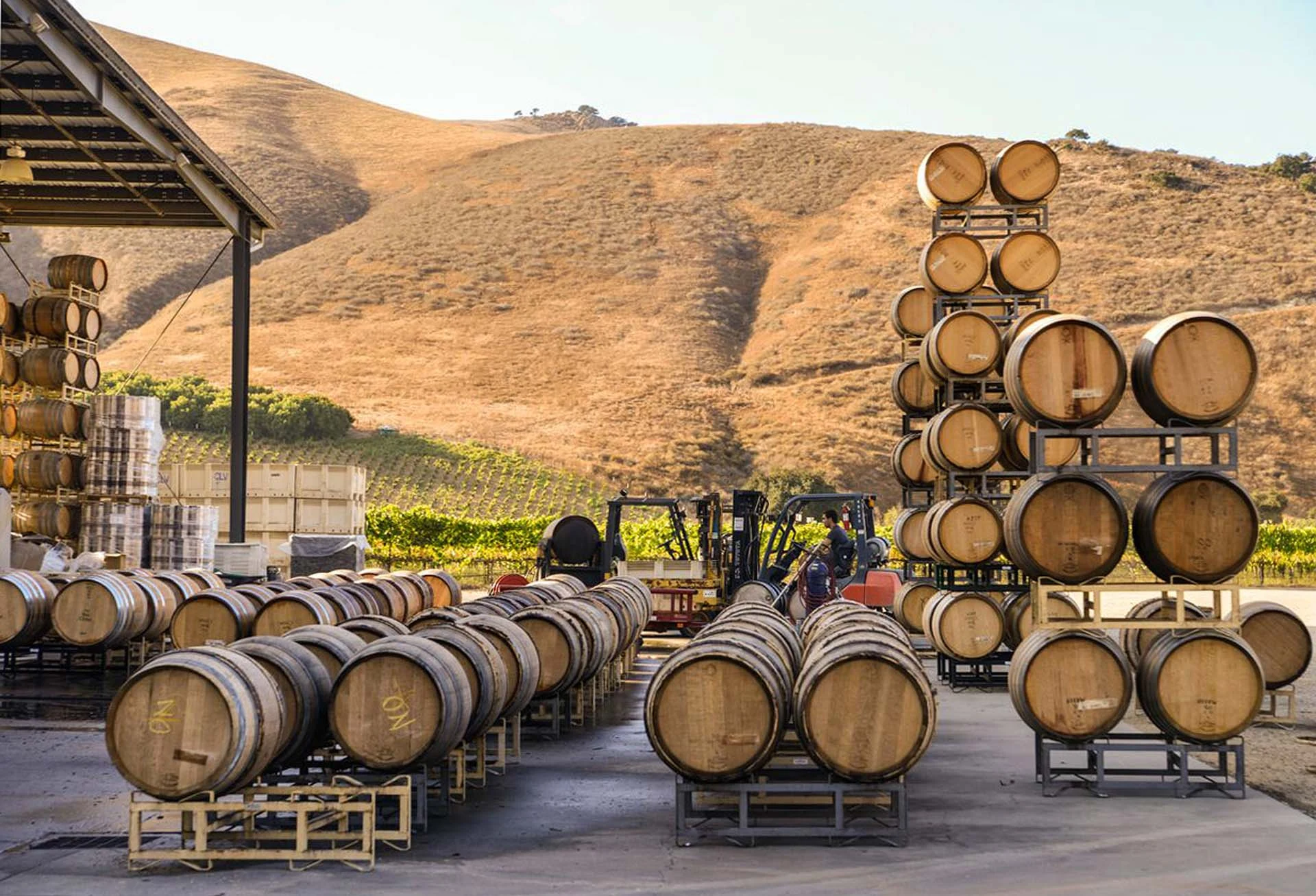 French oak wine barrels arranged on racks in an outdoor winery cellar area with vineyard hills in the background