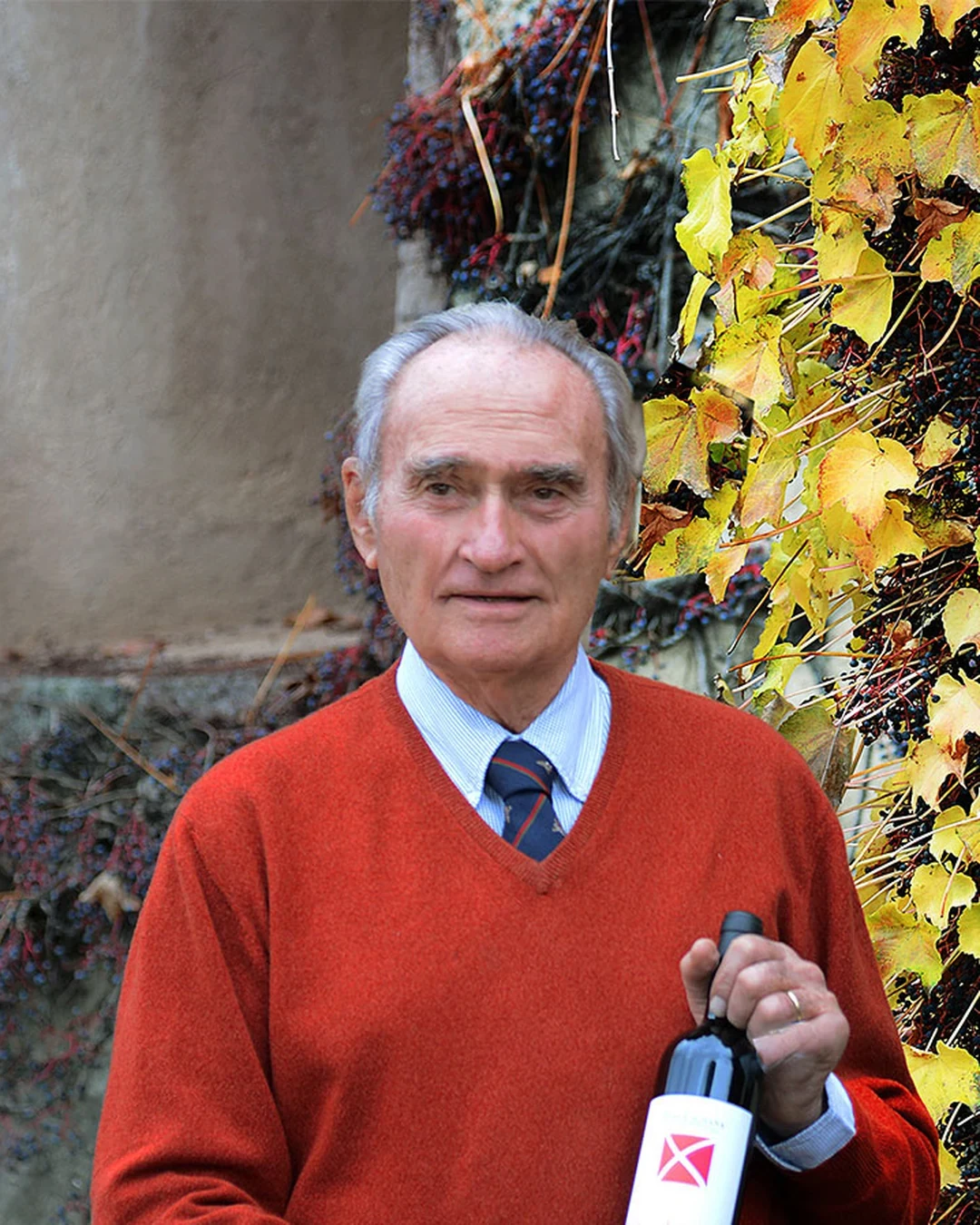 Pepi Lignana