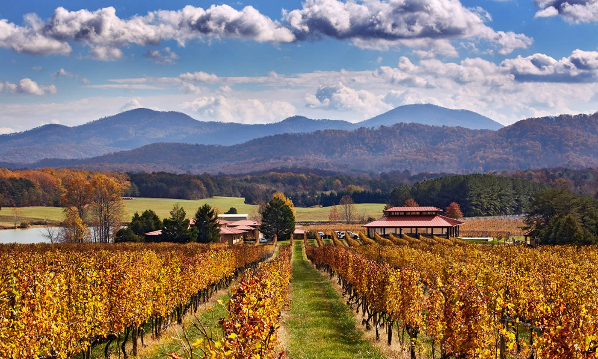 Stinson Vineyards