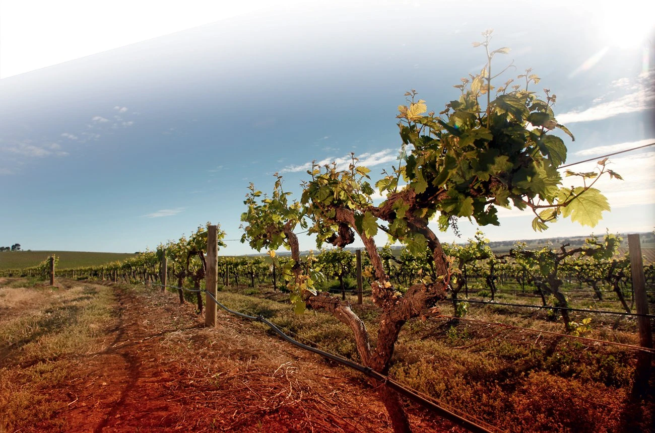 Wendouree