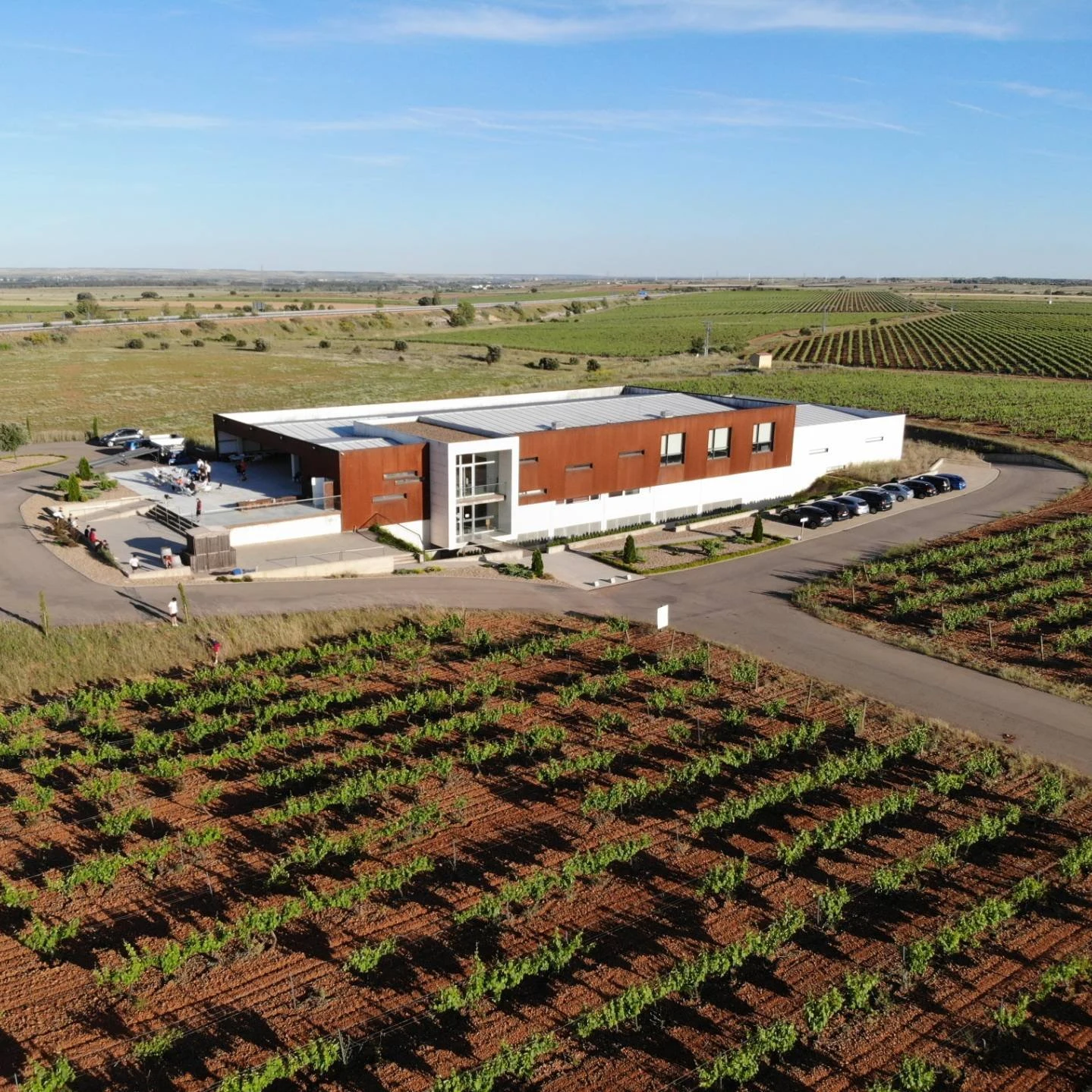 Bodegas y Viñedos Barona