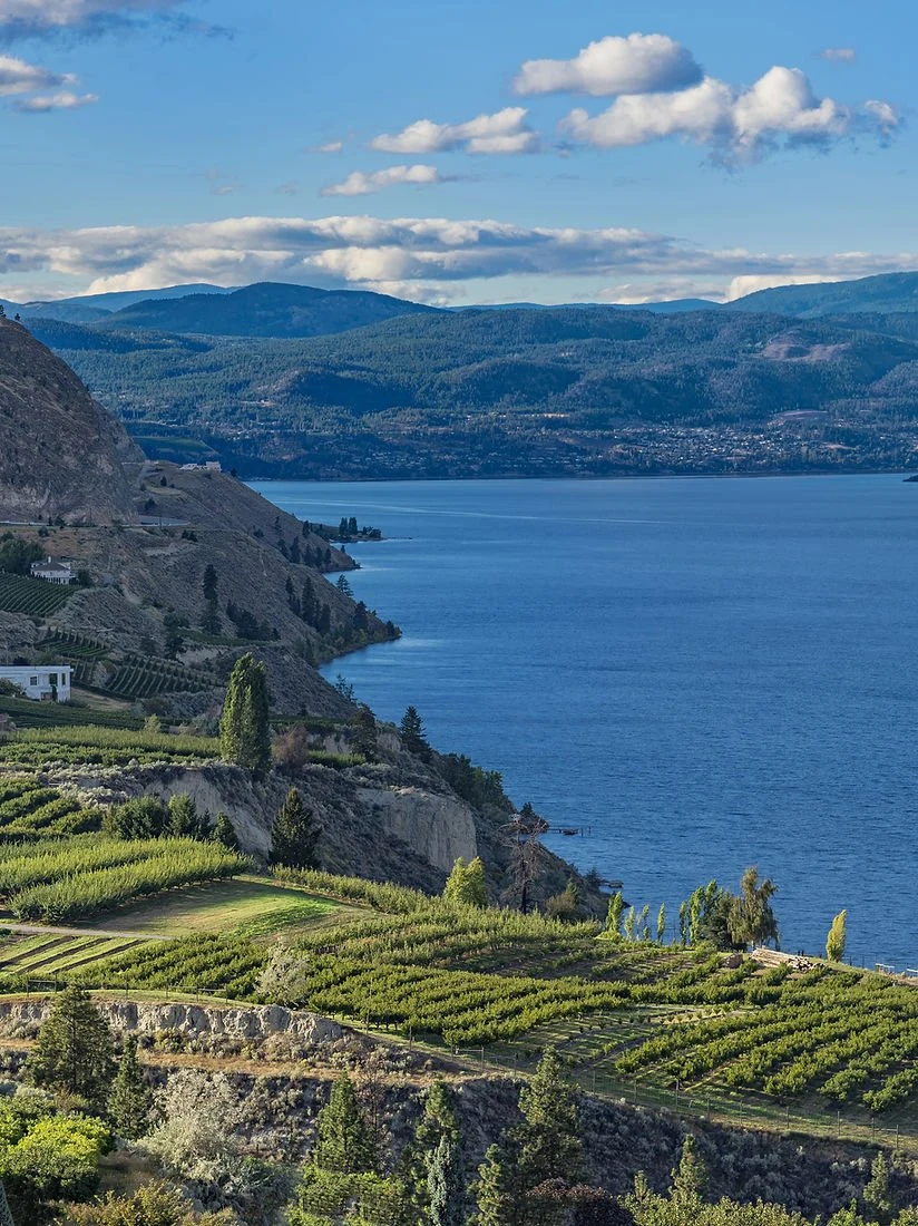 Summerland Winery