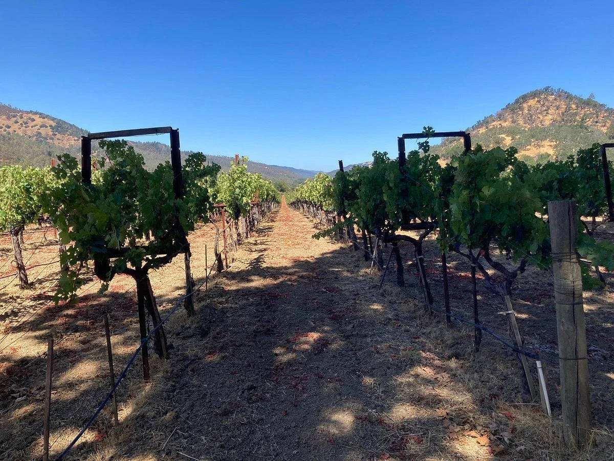 Volker Eisele Family Estate