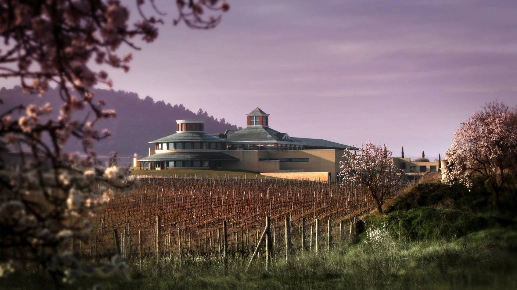 Bodegas Vivanco