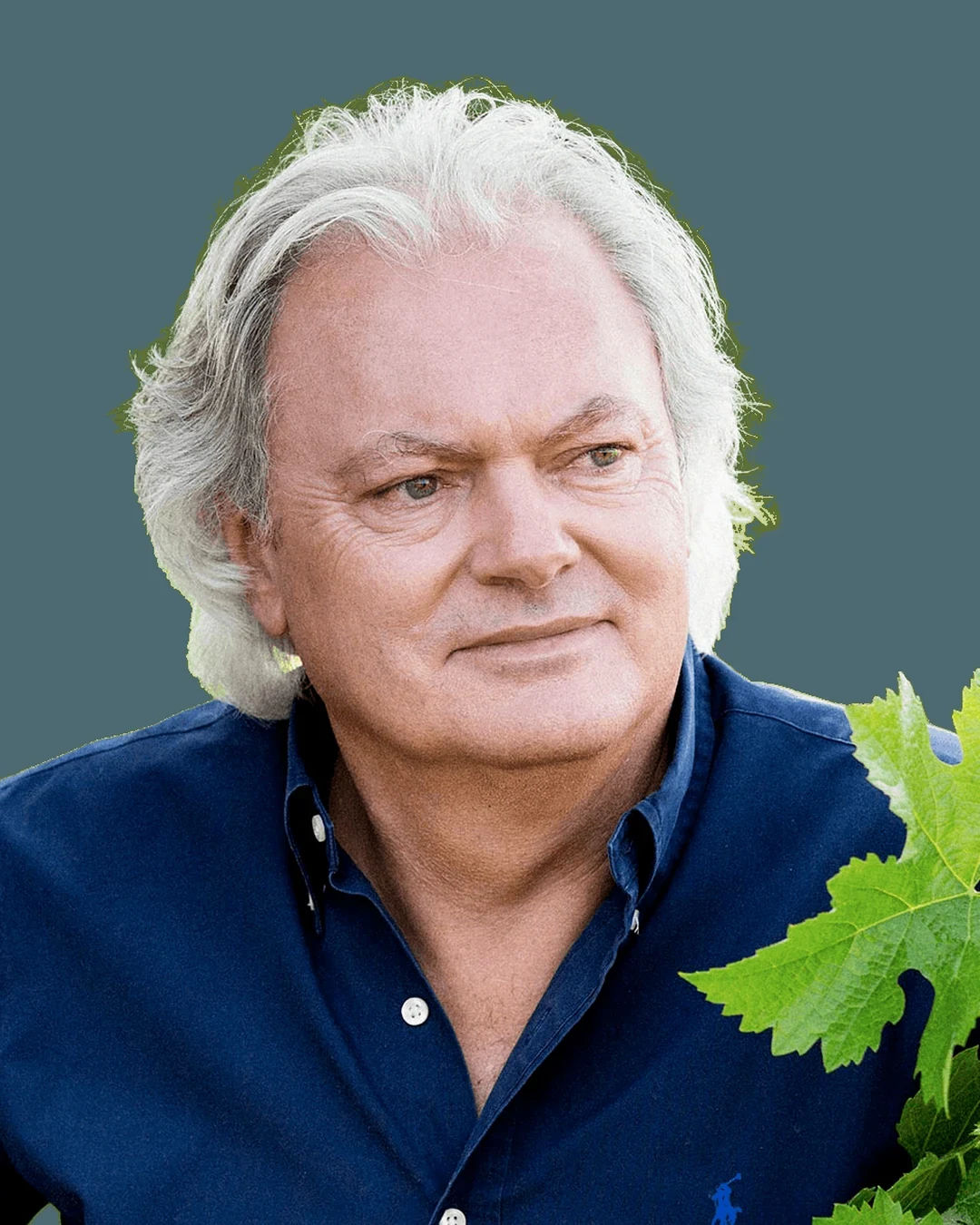 Hubert de Boüard de Laforest
