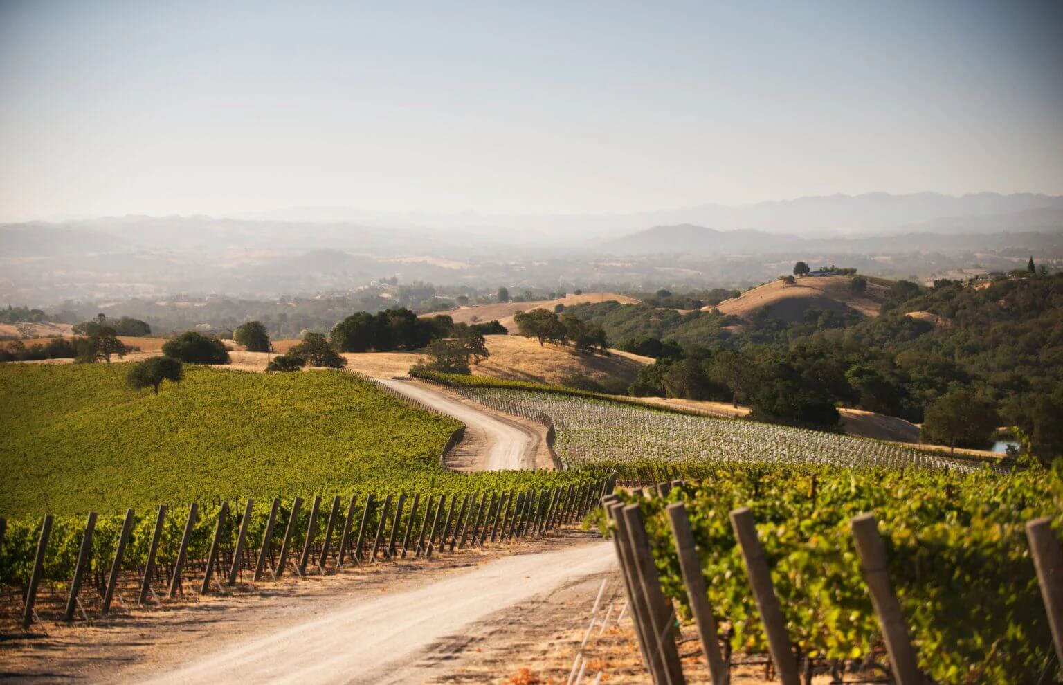 Epoch Estate Wines