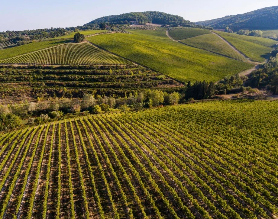 Tenuta Tignanello