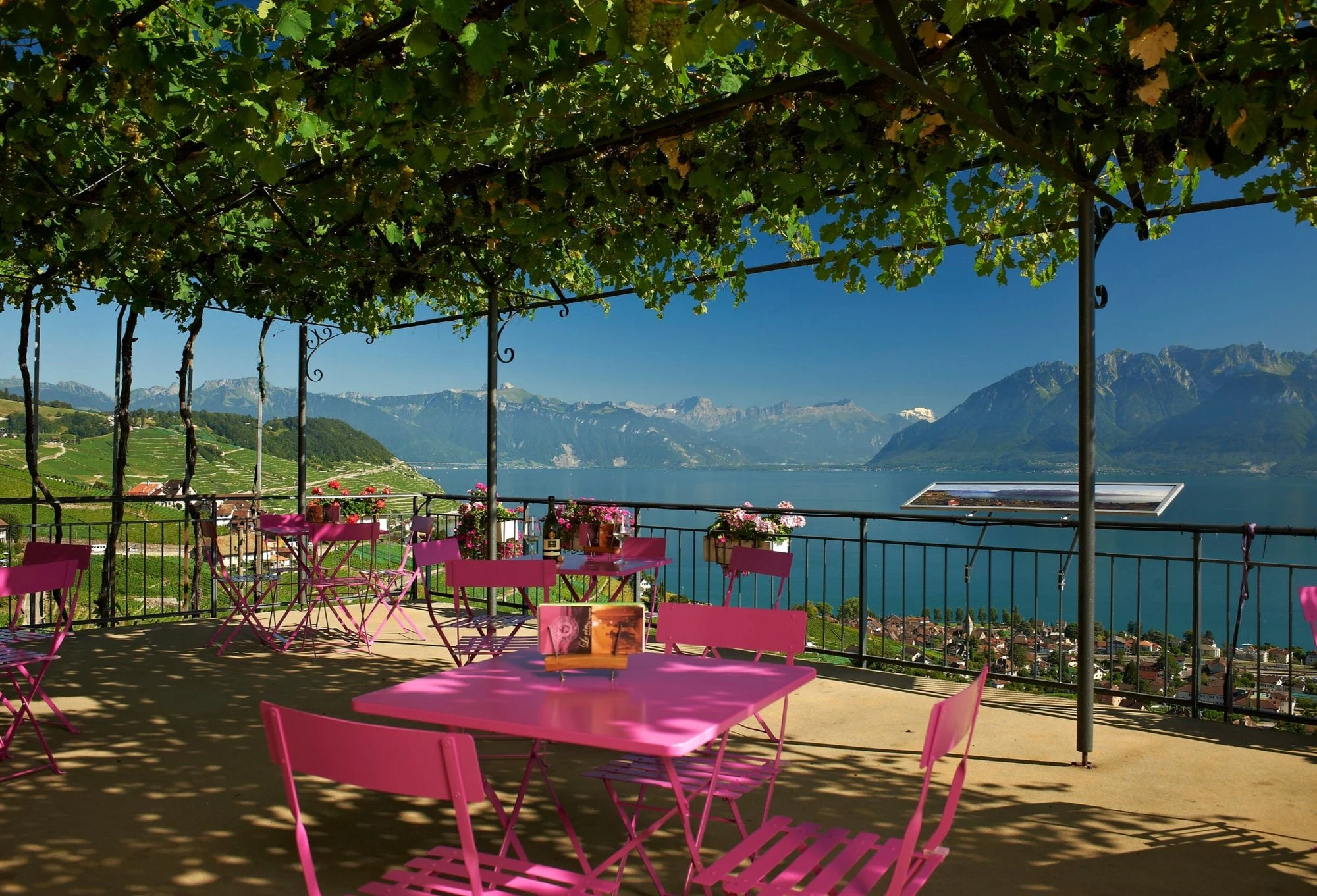 Domaine Croix-Duplex