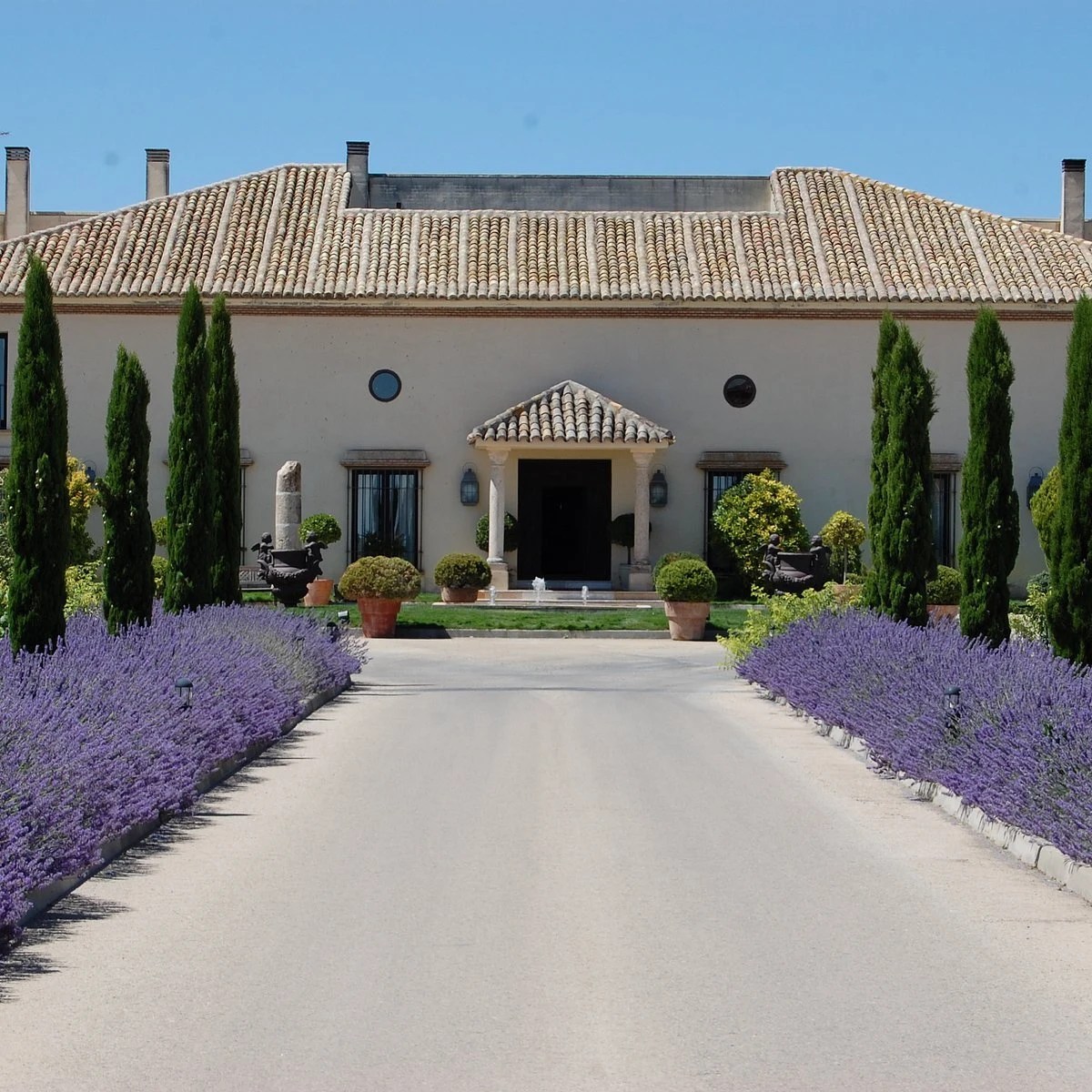 Bodegas y Viñedos Martuela
