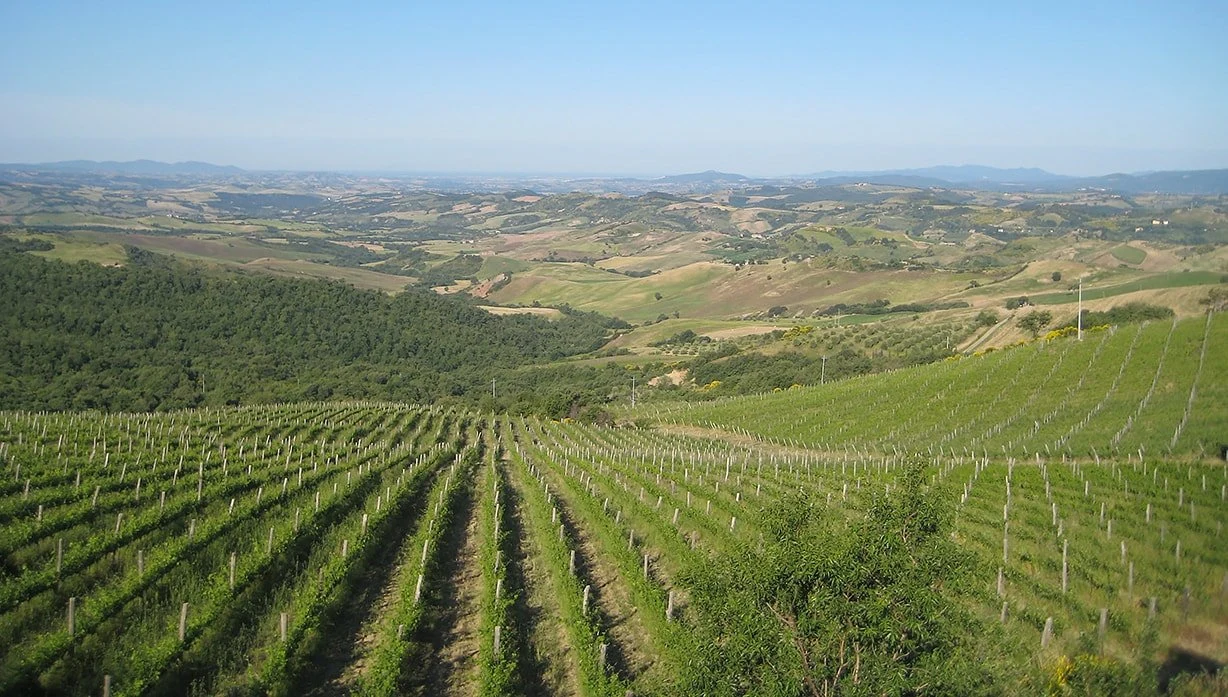 Campi Nuovi