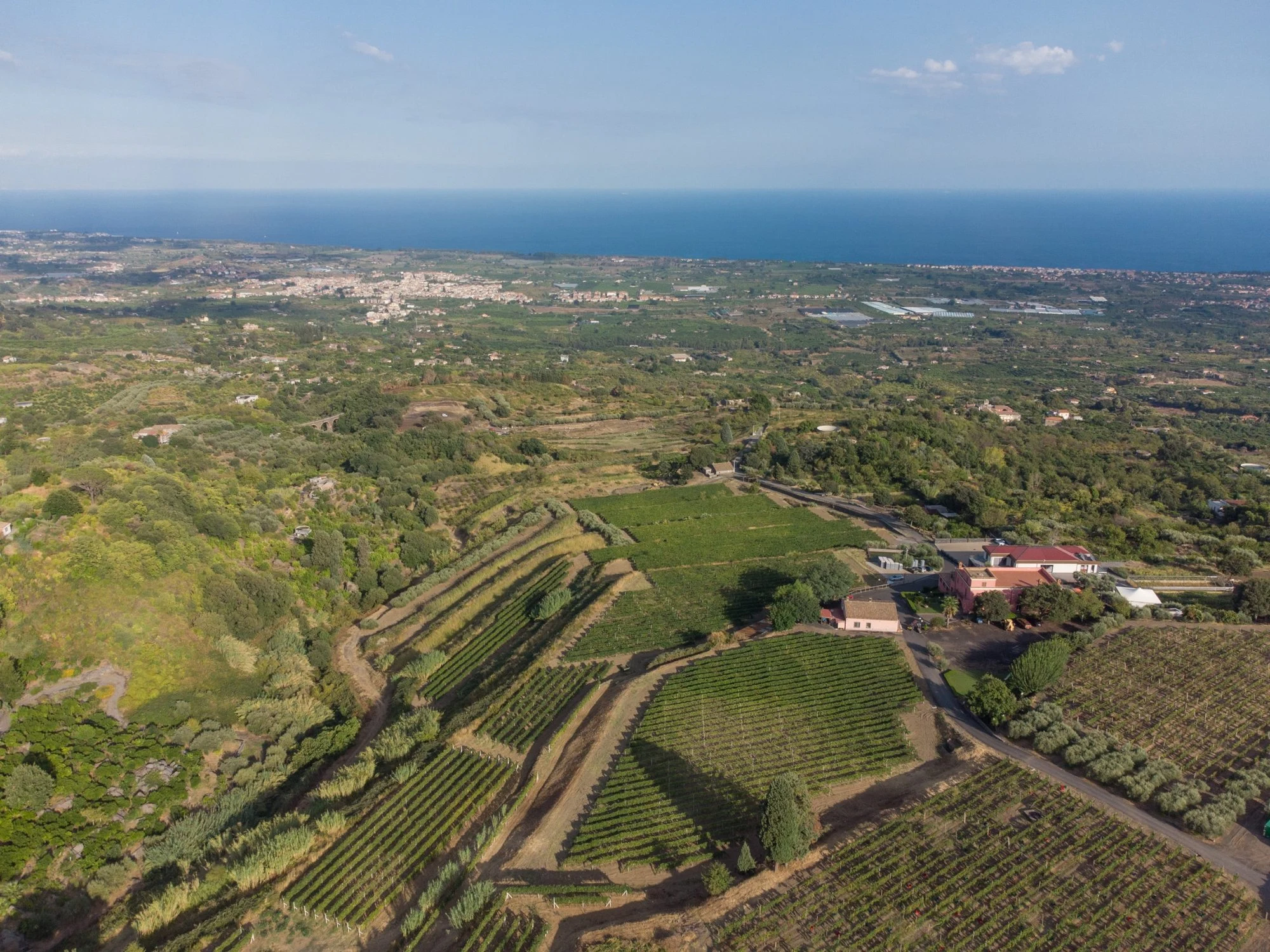 Cantine la Contea