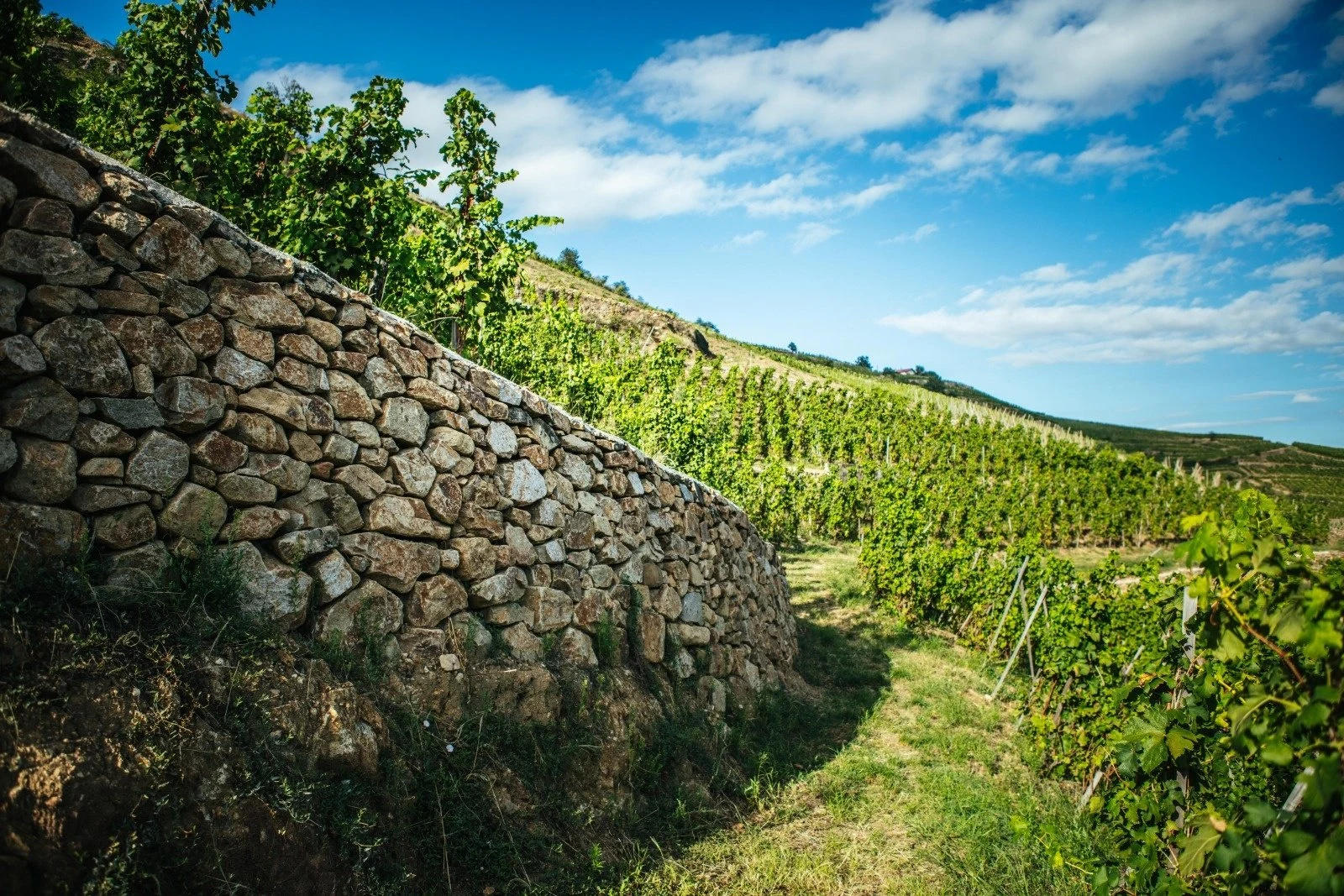Domaine Pierre-Jean Villa