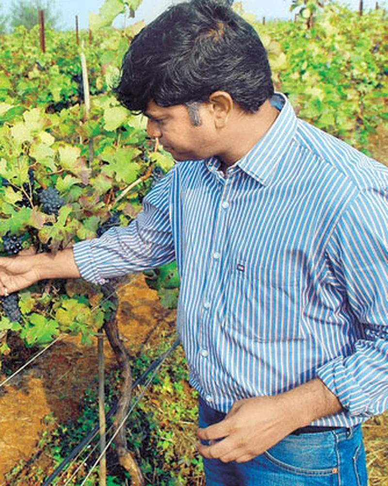 Portrait of Ashok Patil