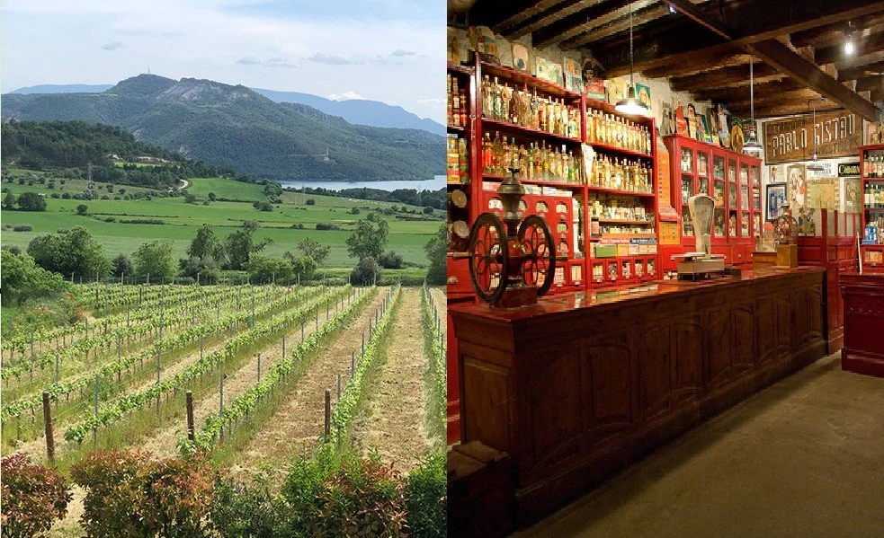 Bodega Abanico