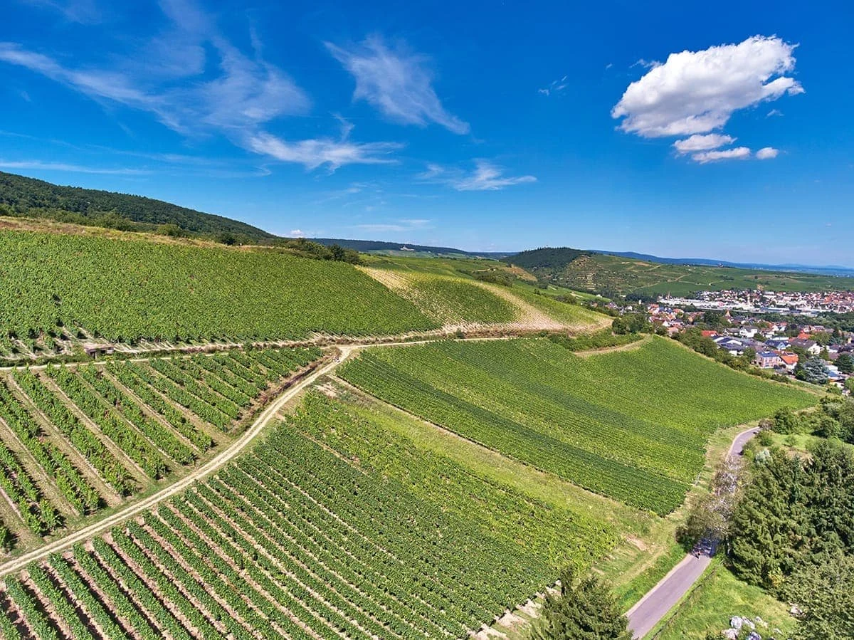 Weingut Kruger-Rumpf