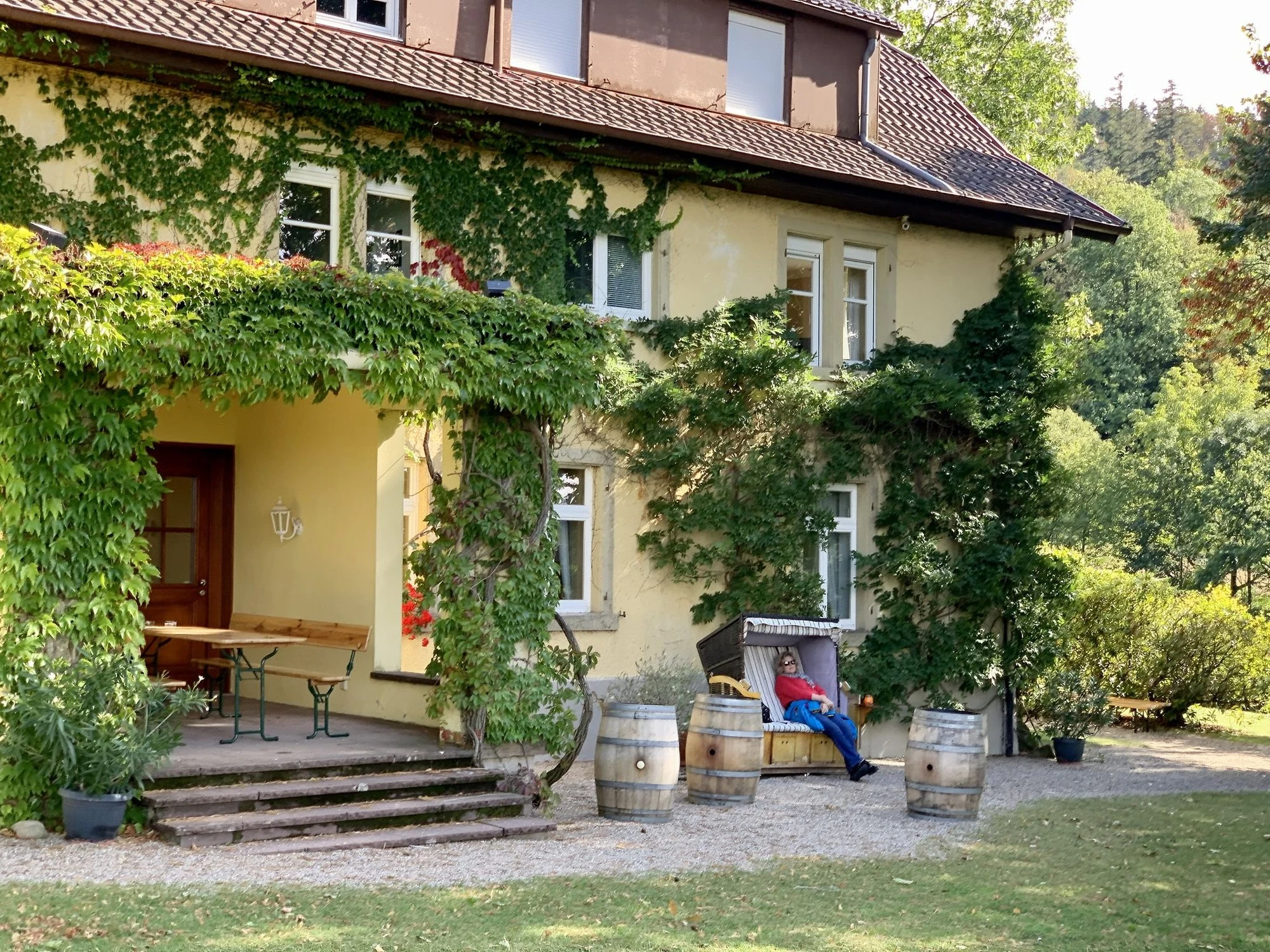 Weingut Nägelsförst