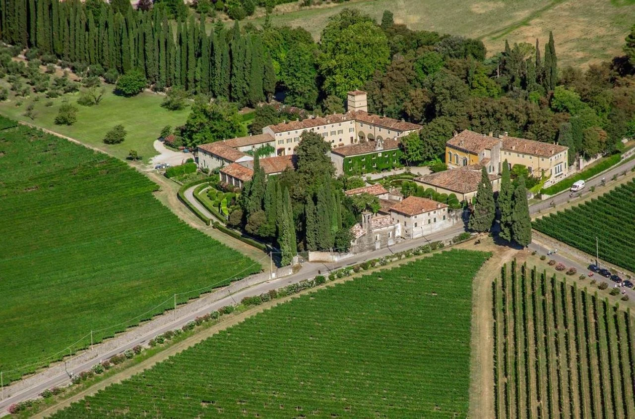 Serego Alighieri