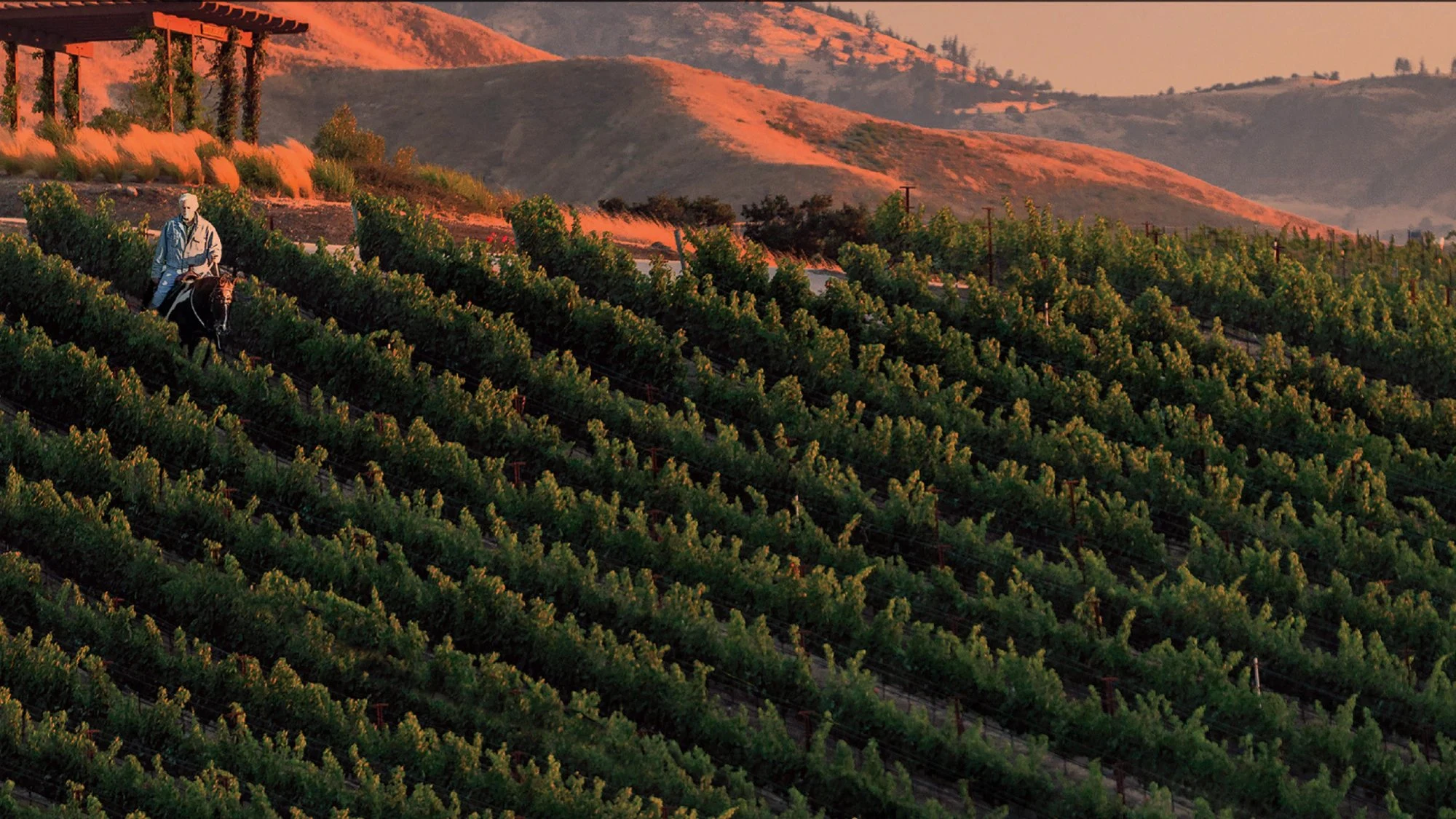 Crown Point Vineyards