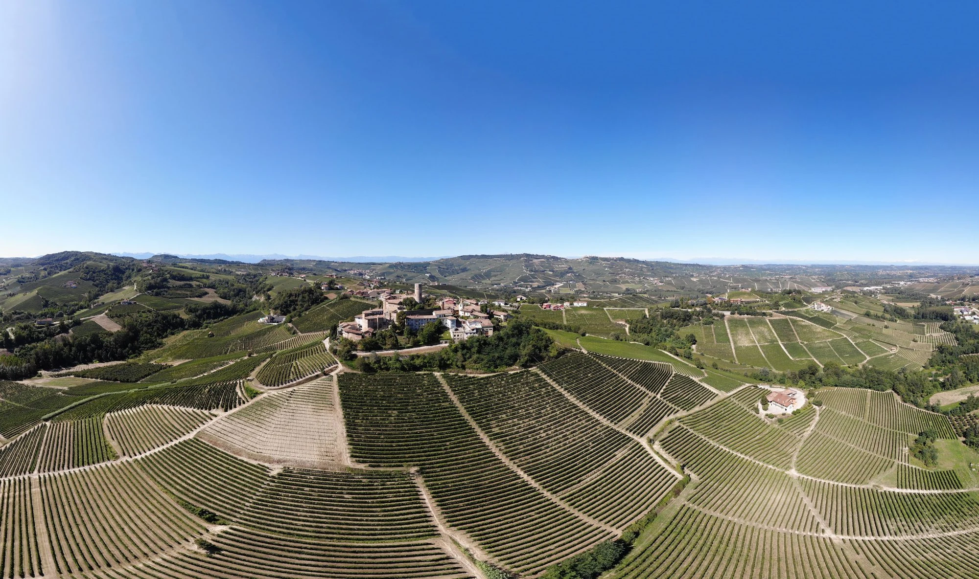 Azienda Agricola Rocche Viberti