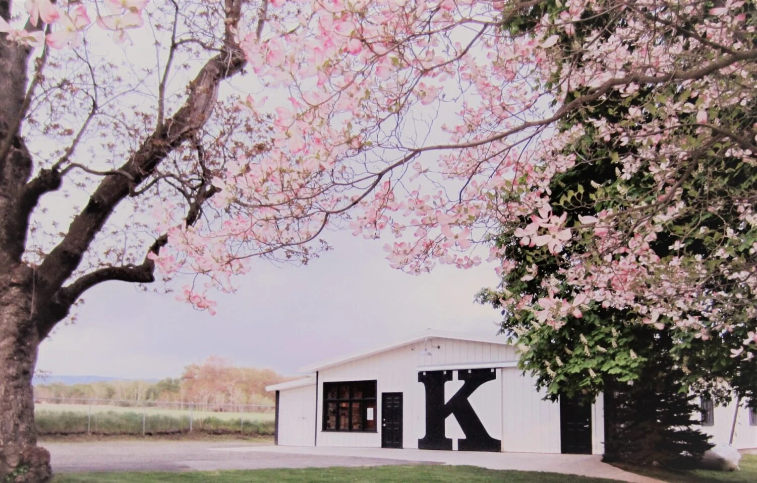 K Vintners