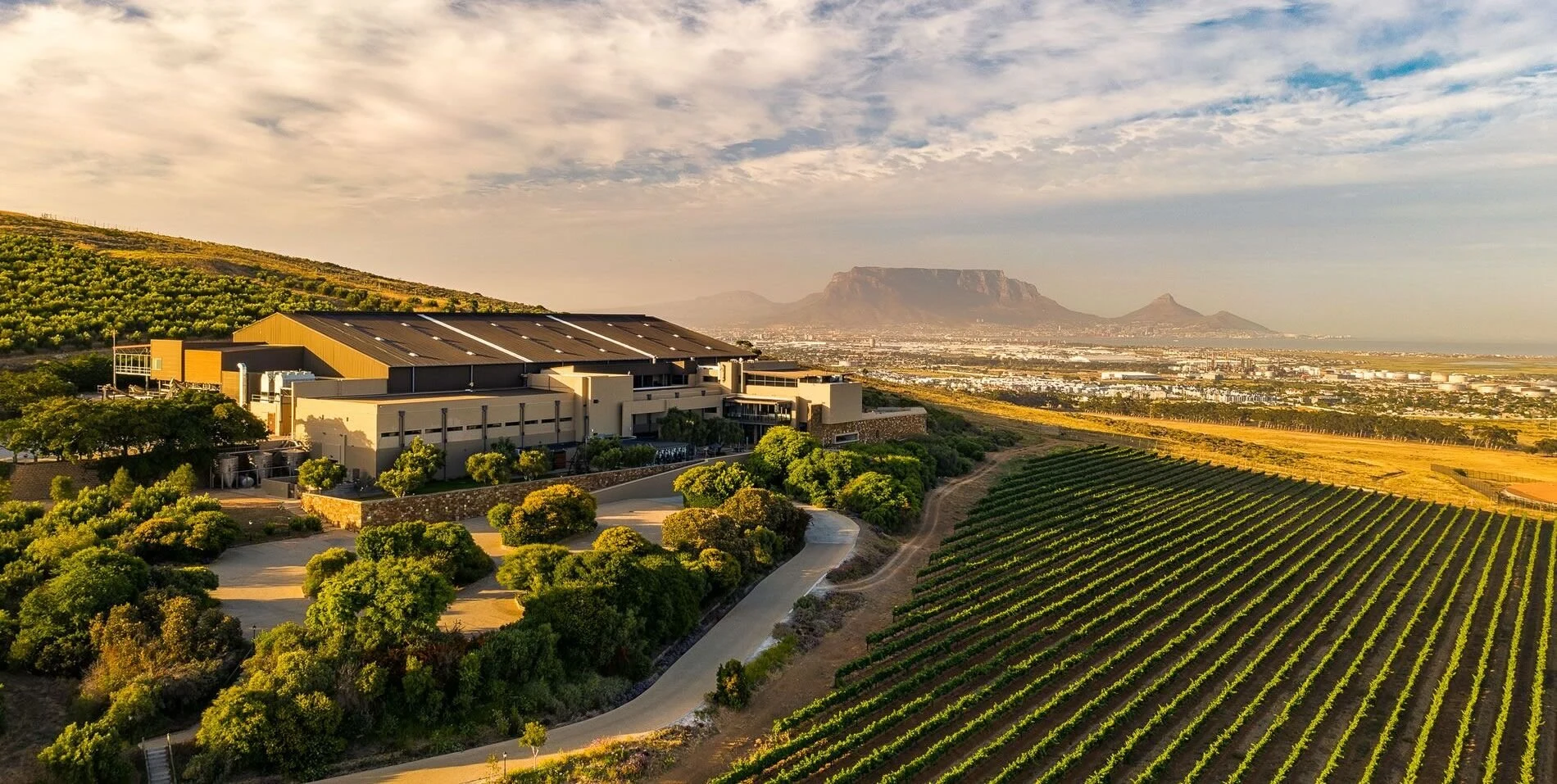 Durbanville Hills