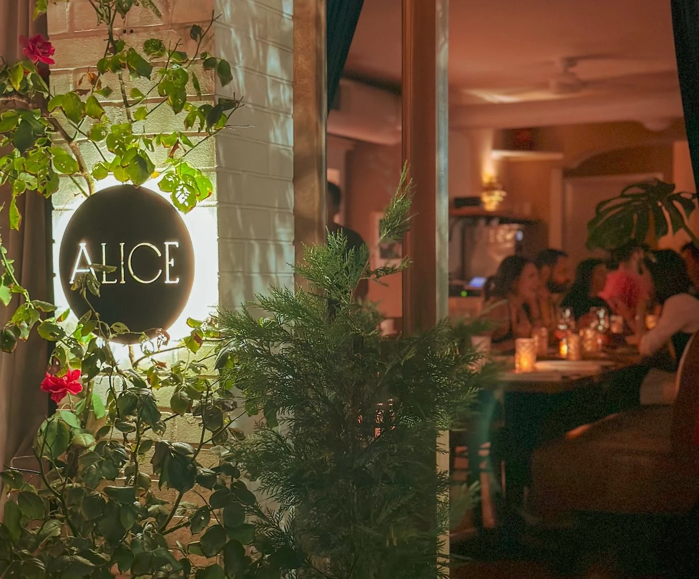 Alice