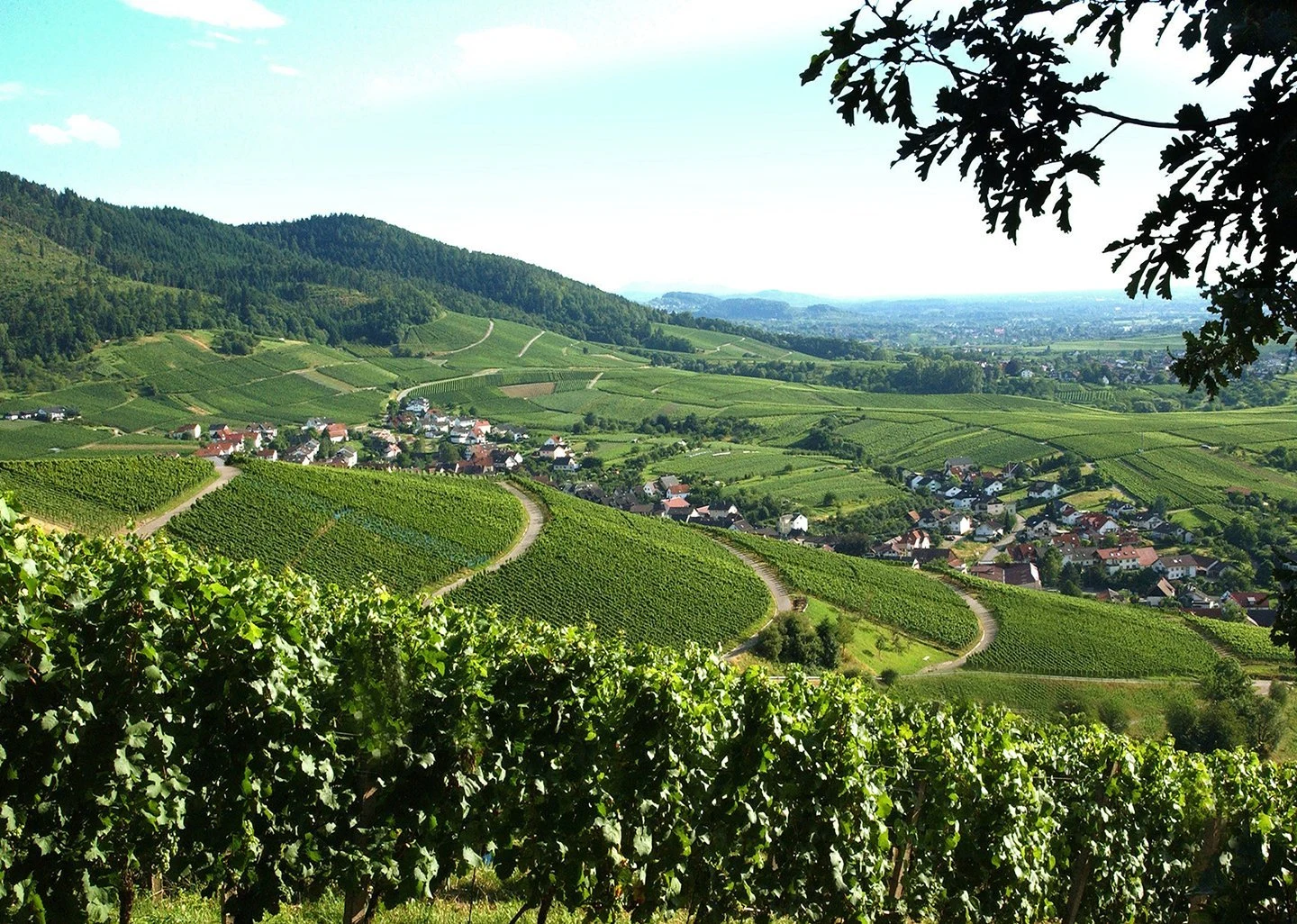 Baden-Badener Weinhaus am Mauerberg GmbH
