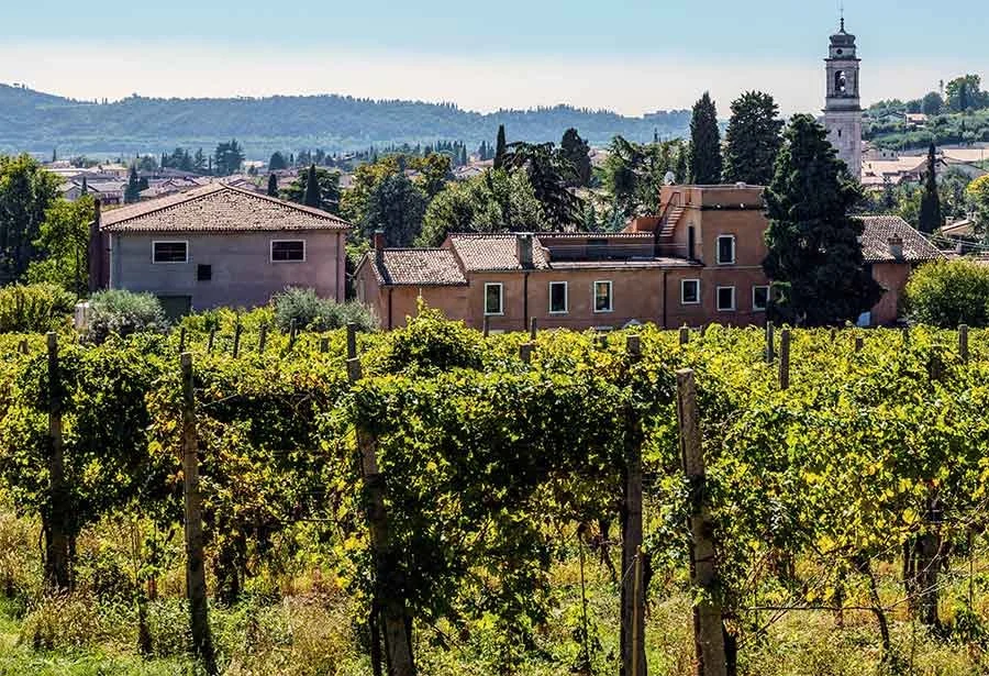 Azienda Agricola Meroni