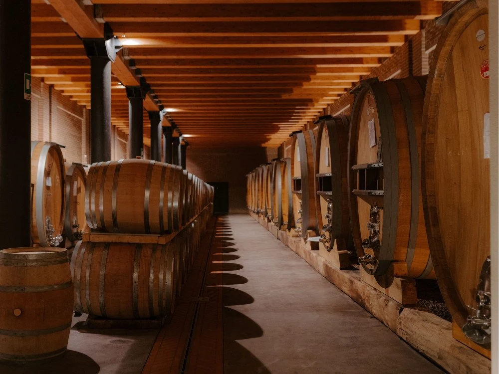 Poderi Luigi Einaudi