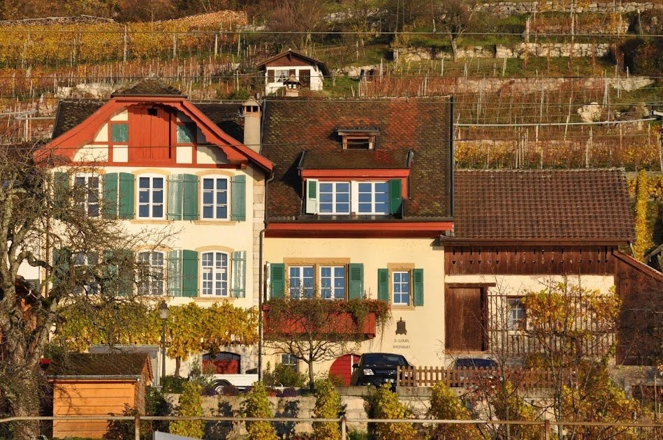 Weinbau Ligerz