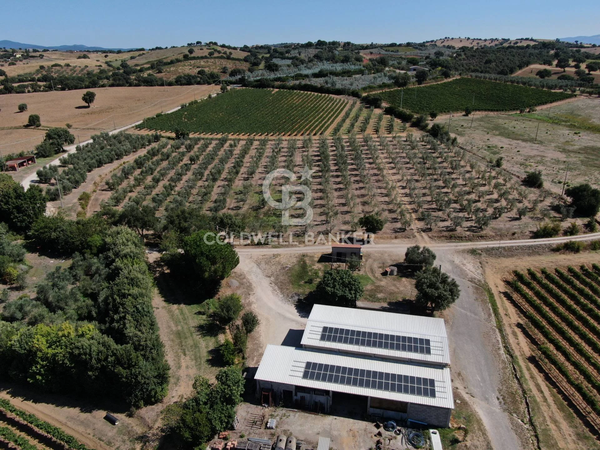Agricola del Nudo