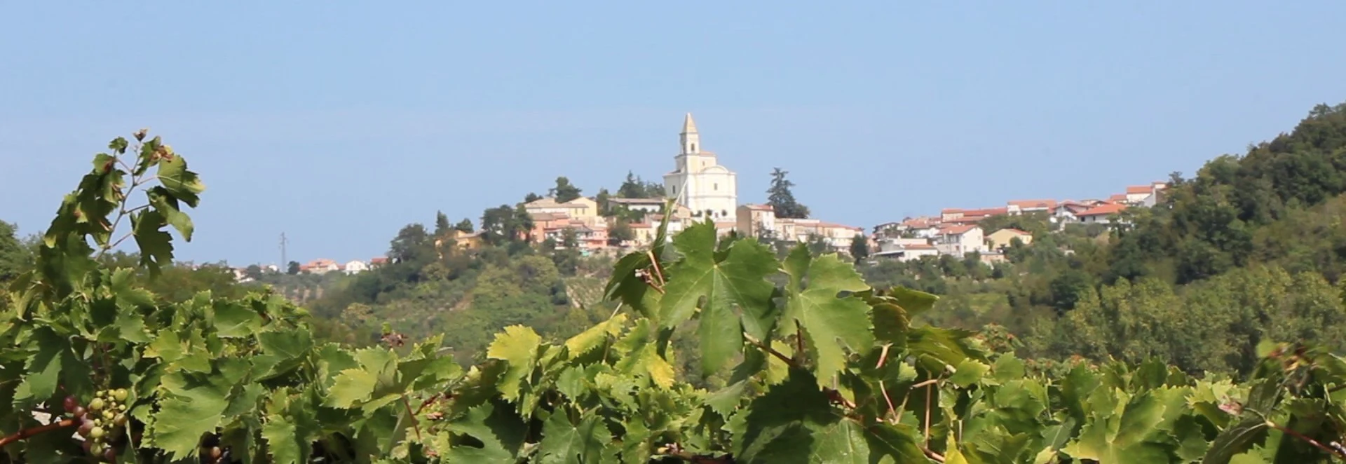 Cantina Tollo