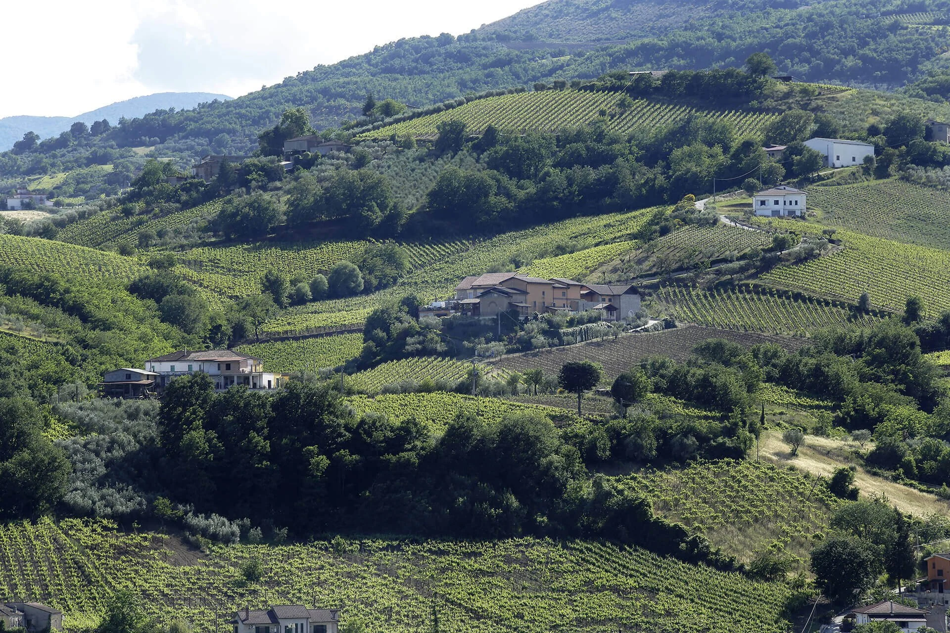 Fontanavecchia