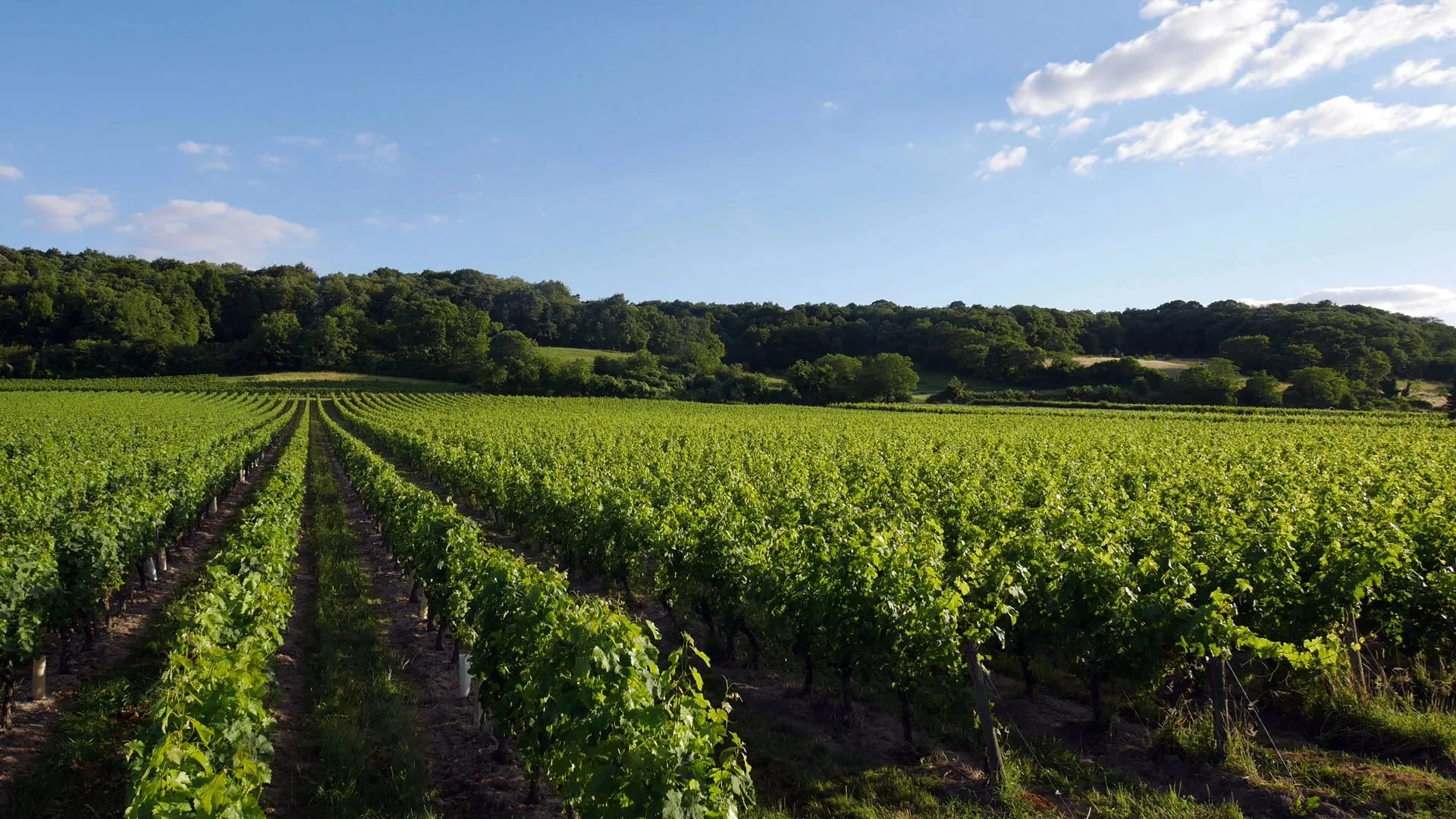 Domaine François Chidaine