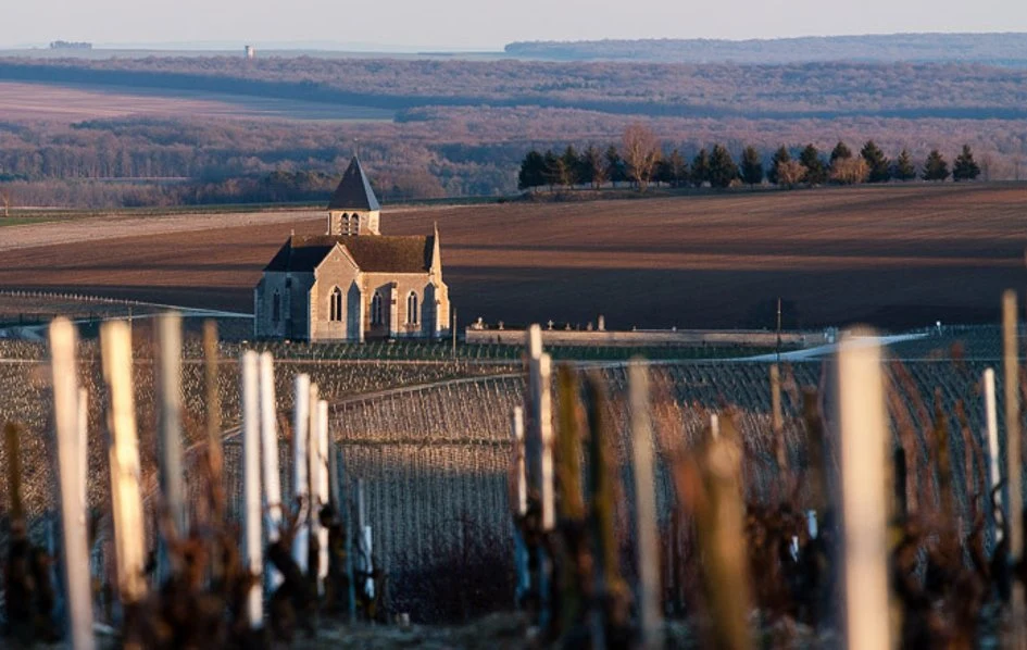 Domaine Pattes Loup